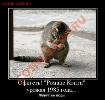 юмор - 1