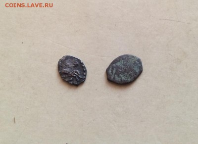 Две чешуйки медь и серебро - 1 (3)