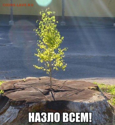 юмор - aM665BdJ8m8
