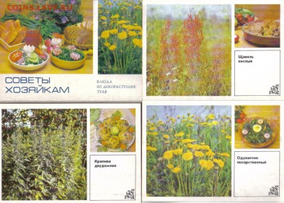Открытки Советы хозяйкам до 27.05 22.00мск - Советы хозяйкам