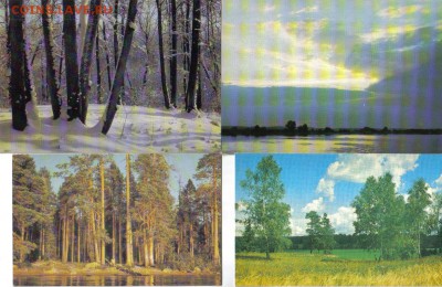 Открытки Природа до 27.05 22.00мск - Открытки Природа-3