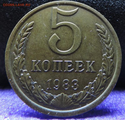 5 копеек 1983 1987 1980 1981 года - DSCN4220 - копия.JPG
