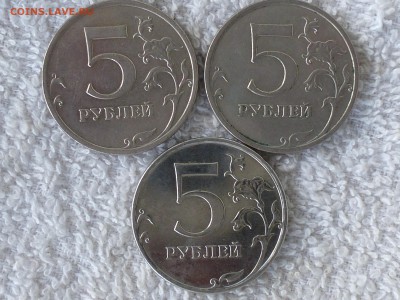 Разновиды нечастые и редкие . Оценка - P1000766(1).JPG