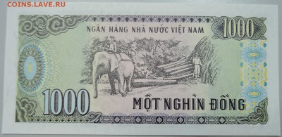 ВЬЕТНАМ - 1000 донгов 1988 г. пресс до 31.05 в 22.00 - DSCN4986.JPG
