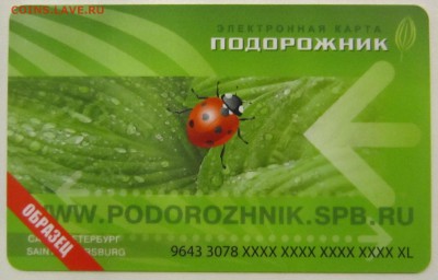 Электронная карта "ПОДОРОЖНИК" (Санкт -Петербург). - IMG_8116.JPG