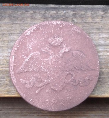 5 копеек 1837 год. Чистить агрессивно, или уже все? - image