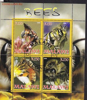 Малави 2008 пчелы - 194