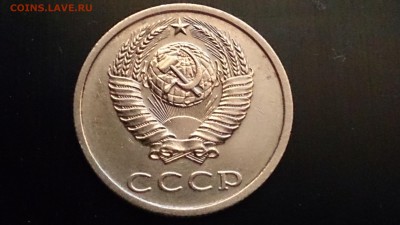 б - DSC_0877[1].JPG