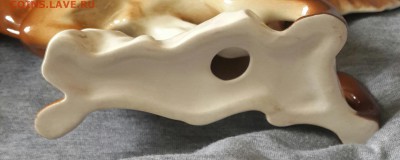 Ирландский сеттер. ЛФЗ. До 29.05.2016 в 22.00 - 20160526_143824-1
