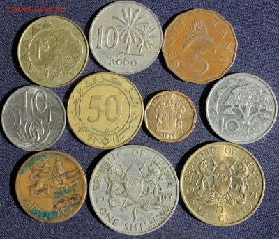 С 1 руб. 10 РАЗНЫХ АФРИКАНСКИХ МОНЕТ до 1.06 в 22-00 - IMG_1813.JPG