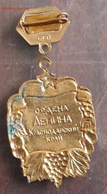 Знак Лучший садовод. С 200 р. До 29.05.2016 в 22.00 - 20160526_161905-1