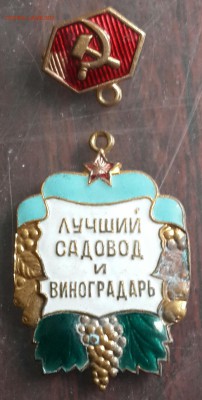 Знак Лучший садовод. С 200 р. До 29.05.2016 в 22.00 - 20160526_161856-1