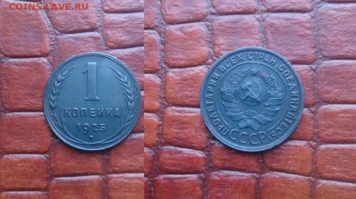 1 копейка 1925г - DSC_1269 ть (Копировать)