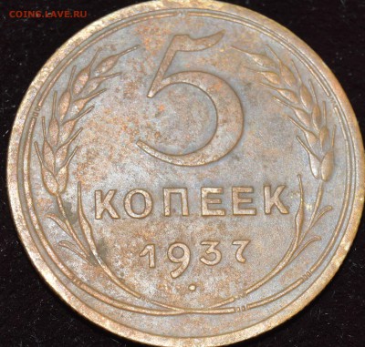 5 копеек 1937 - DSC_1848.JPG