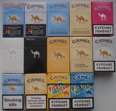 Camel - Монголия, ОАЭ, Китай, Россия, Германия (для DF) - DSC00842.JPG