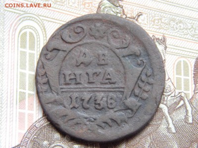 денга 1750, 1736 оцените - DSCN0312