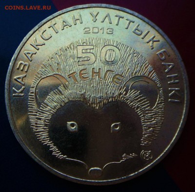 Красная книга Казахстана СТ.Ёж-50 тенге 3.06.16 20-06 МСК - SAM_4569.JPG