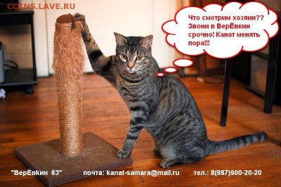делает - прямо сейчас !!! - image