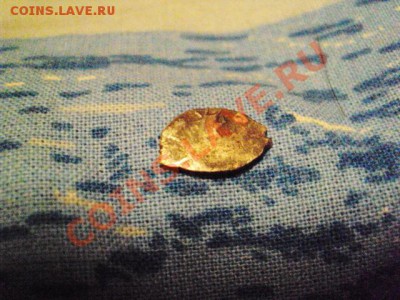 Чешуйка на оценку - DSC00617.JPG