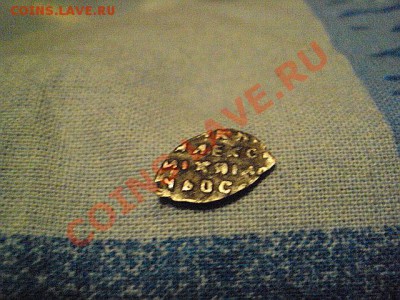 Чешуйка на оценку - DSC00615.JPG