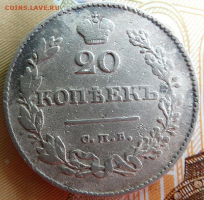 20 копеек 1830 ( орел без хвоста) - DSC01986