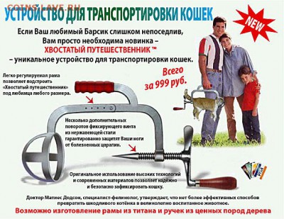 Коты в картинках - cat_carier_ru