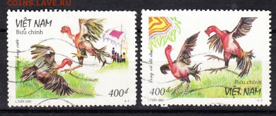Вьетнам 2000 бойцовые птицы - 82