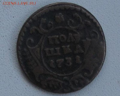 Полушка 1731г.-Оценка - IMG_6142.JPG