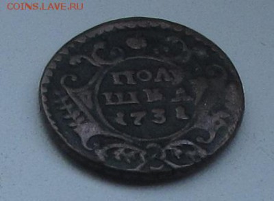 Полушка 1731г.-Оценка - IMG_6151.JPG