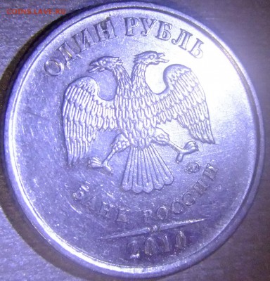 1.р2010 А-3? - DSCF2995.JPG