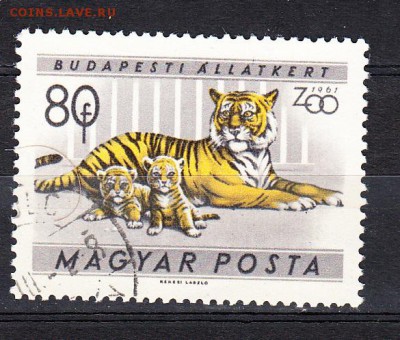 Венгрия 1961 тигр - 103