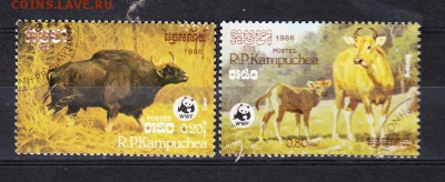 Камбоджа 1986 буйволы - 104