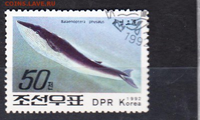 КНДР 1992 кит - 109