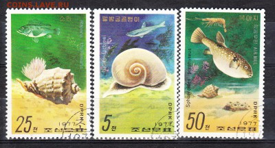 КНДР 1977 морская фауна - 111