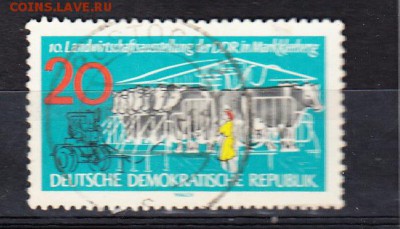ГДР 1962 коровы - 117