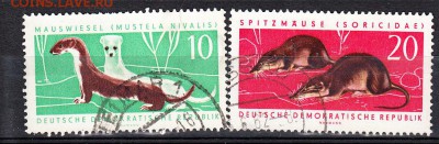 ГДР 1962 фауна - 118