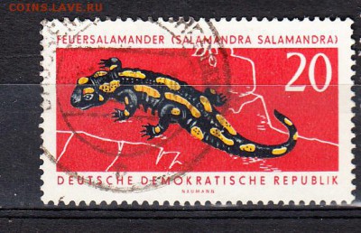 ГДР 1963 саламандра - 121