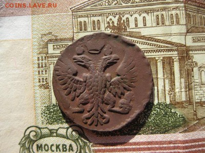 Деньга 1750г.коричневая,перья.до1.06. - IMG_1029.JPG
