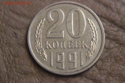б - IMG_8618.JPG
