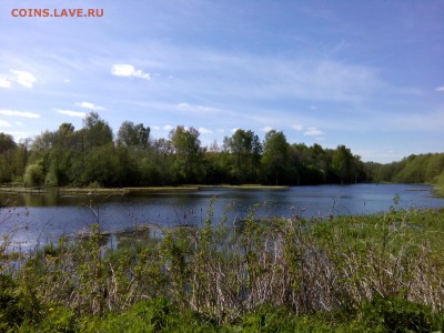 Покопушки от Русланыча . - IMG_20160515_093740