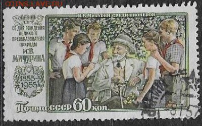 СССР 1956. И. В. Мичурин* - С-314