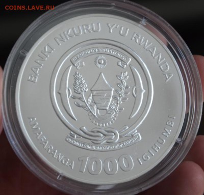 1000 франков,2008,Руанда,африканский лев,31.05 в 22.00мск - 1а.JPG