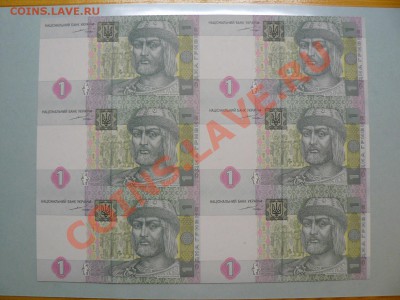 Украина 1, 2 и 10 гривень 2004 в листах UNC до 16.11.10 - P1010675.JPG