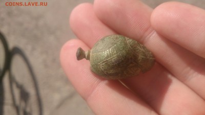 не могу понять от что это - DSC_0838.JPG