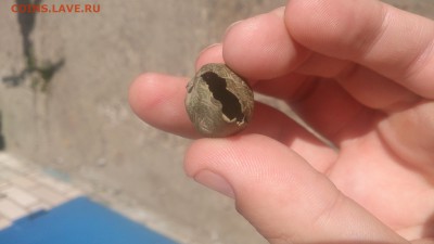 не могу понять от что это - DSC_0842.JPG