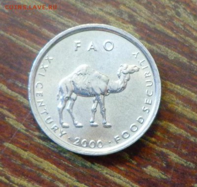 СОМАЛИ - ВЕРБЛЮД ФАО до 5.06, 22.00 - Сомали ФАО верблюд