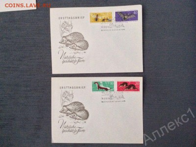 Ёжики на марках - 38658138