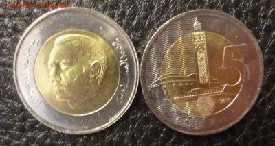 ДК Марокко 5 дирхам БИМеталл Новинка ФИКС 03.06 22.00 - P1260873.JPG