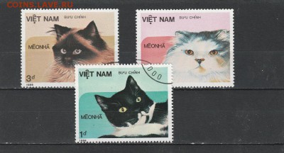 Коты (Вьет-Нам) до 1.06 в 22.00 - IMG_20160530_0001