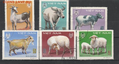 Домашние животные (Вьет-Нам) до 1.06 в 22.00 - IMG_20160530_0005